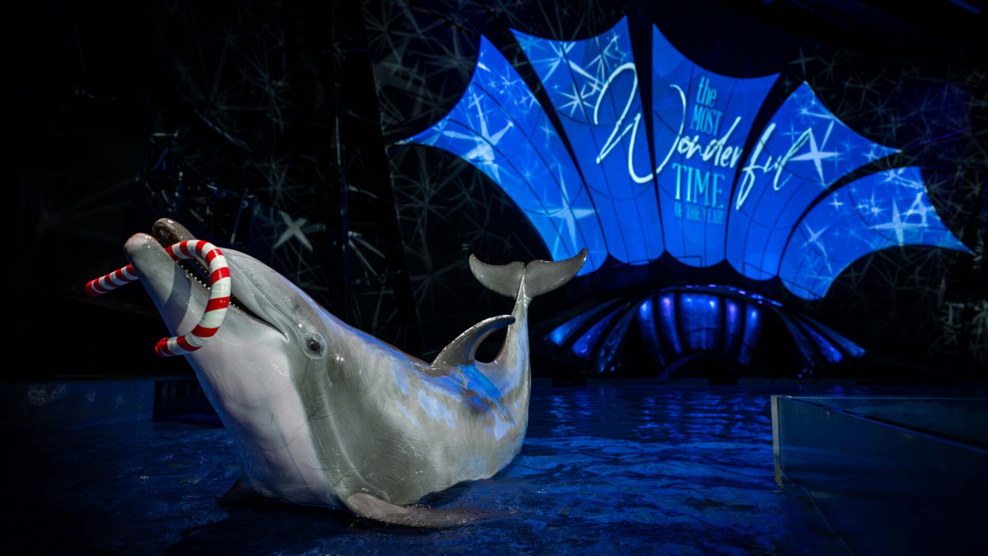 Dsc02965 Enhanced Nr